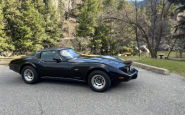 Chevrolet-Corvette-1978-black-2
