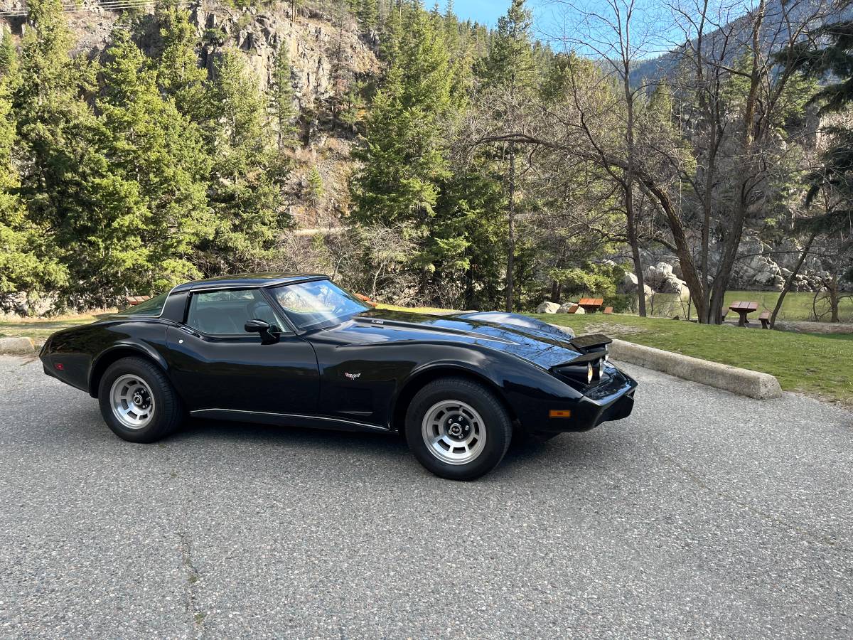 Chevrolet-Corvette-1978-black-2