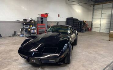 Chevrolet-Corvette-1979-12