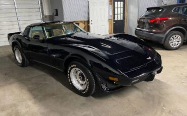 Chevrolet-Corvette-1979-14