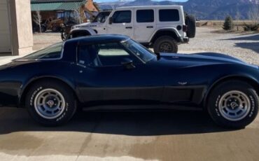 Chevrolet-Corvette-1979-9