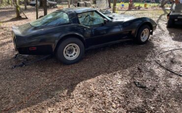 Chevrolet-Corvette-1979-Black-10