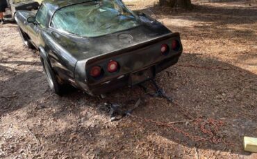 Chevrolet-Corvette-1979-Black-4
