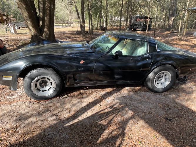 Chevrolet-Corvette-1979-Black-5