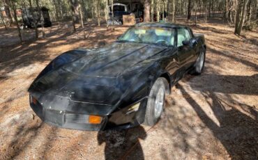 Chevrolet-Corvette-1979-Black-6