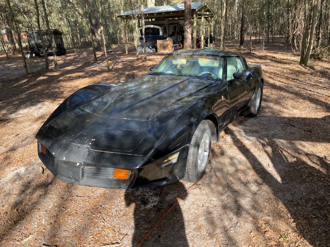 Chevrolet-Corvette-1979-Black-6