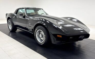 Chevrolet-Corvette-1979-Black-Light-Doeskin-10