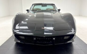 Chevrolet-Corvette-1979-Black-Light-Doeskin-11