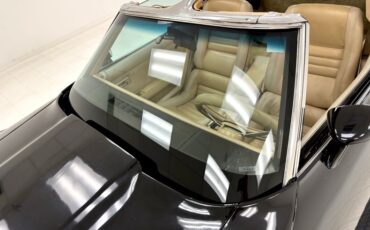 Chevrolet-Corvette-1979-Black-Light-Doeskin-13