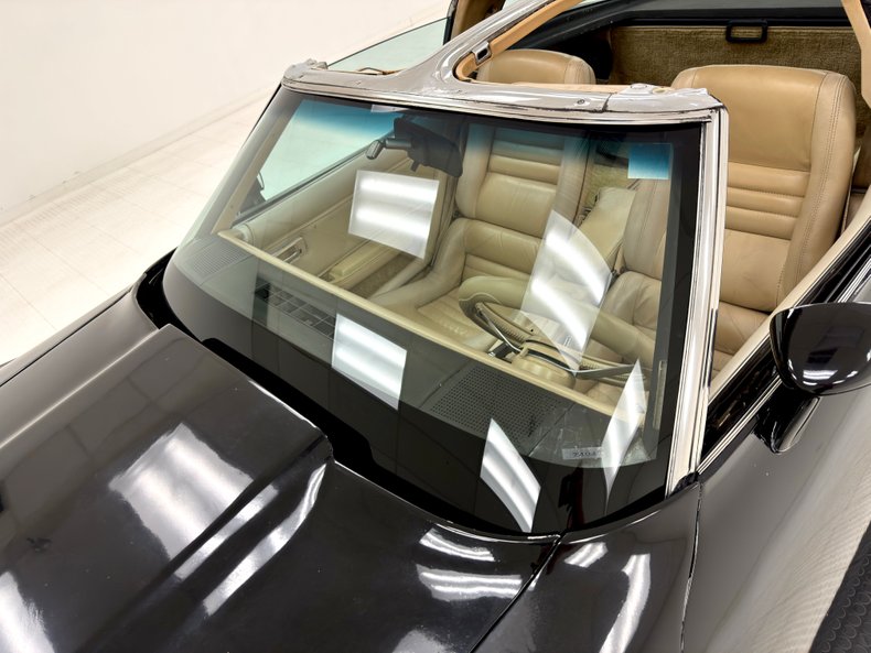 Chevrolet-Corvette-1979-Black-Light-Doeskin-13