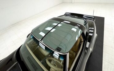 Chevrolet-Corvette-1979-Black-Light-Doeskin-14