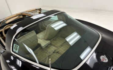 Chevrolet-Corvette-1979-Black-Light-Doeskin-20