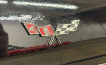 Chevrolet-Corvette-1979-Black-Light-Doeskin-4