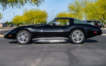 Chevrolet-Corvette-1979-Black-Oyster-1
