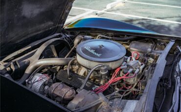 Chevrolet-Corvette-1979-Black-Oyster-10