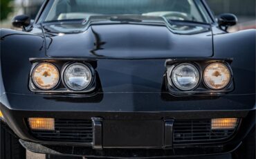 Chevrolet-Corvette-1979-Black-Oyster-19
