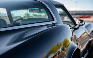 Chevrolet-Corvette-1979-Black-Oyster-2