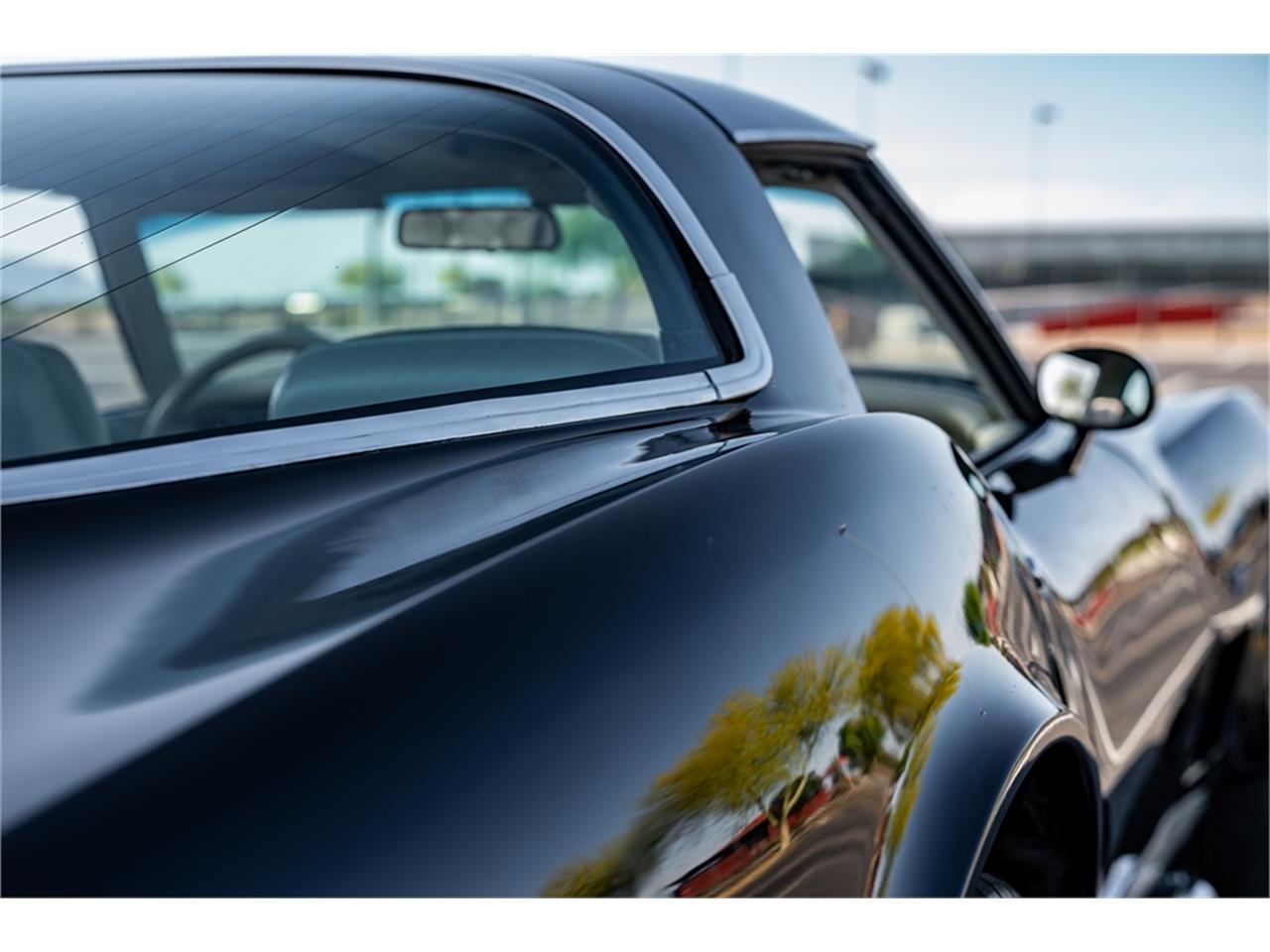Chevrolet-Corvette-1979-Black-Oyster-2