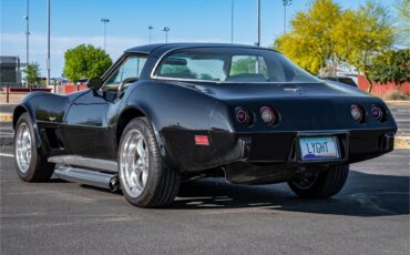 Chevrolet-Corvette-1979-Black-Oyster-22