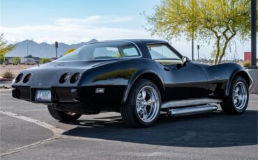 Chevrolet-Corvette-1979-Black-Oyster-23