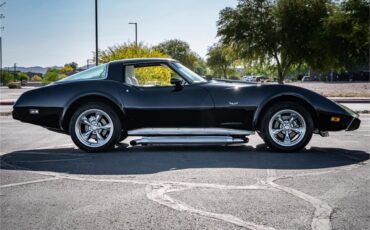 Chevrolet-Corvette-1979-Black-Oyster-24