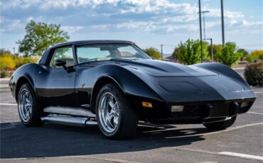 Chevrolet-Corvette-1979-Black-Oyster-25