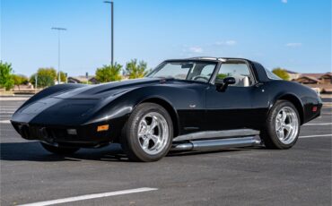 Chevrolet-Corvette-1979-Black-Oyster-26