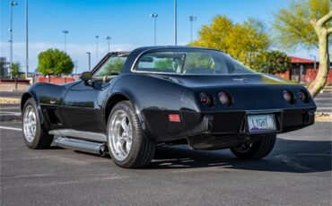 Chevrolet-Corvette-1979-Black-Oyster-27