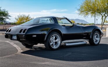 Chevrolet-Corvette-1979-Black-Oyster-28