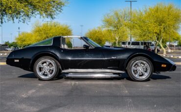 Chevrolet-Corvette-1979-Black-Oyster-29