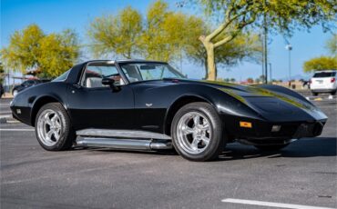 Chevrolet-Corvette-1979-Black-Oyster-30