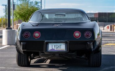 Chevrolet-Corvette-1979-Black-Oyster-32