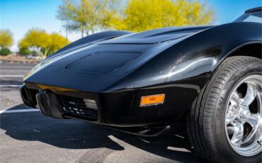 Chevrolet-Corvette-1979-Black-Oyster-37