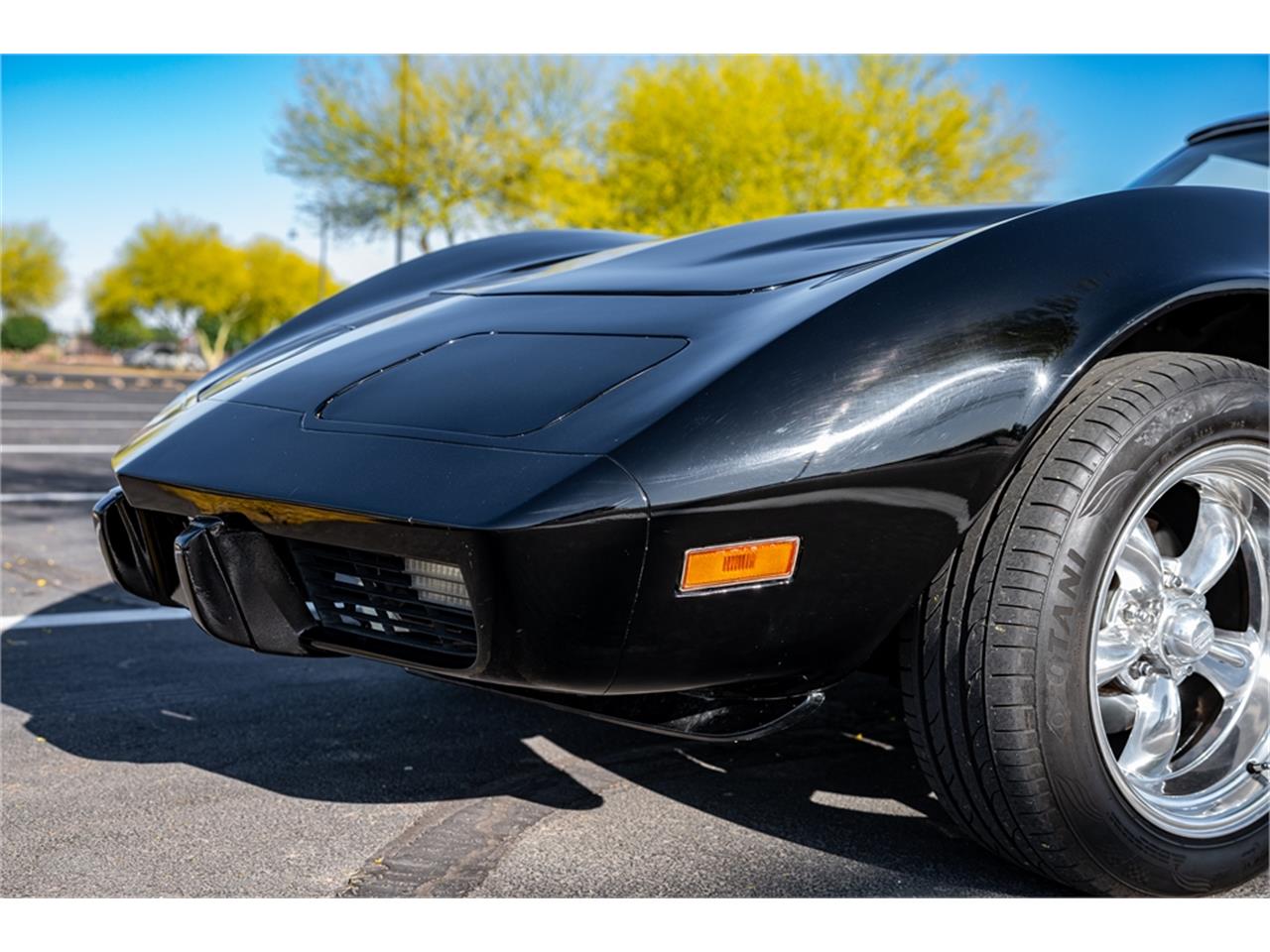 Chevrolet-Corvette-1979-Black-Oyster-37