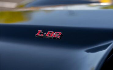 Chevrolet-Corvette-1979-Black-Oyster-38