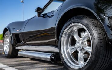 Chevrolet-Corvette-1979-Black-Oyster-41
