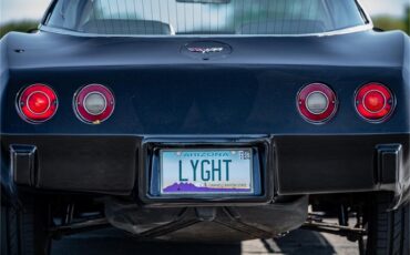 Chevrolet-Corvette-1979-Black-Oyster-48