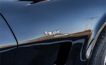 Chevrolet-Corvette-1979-Black-Oyster-55