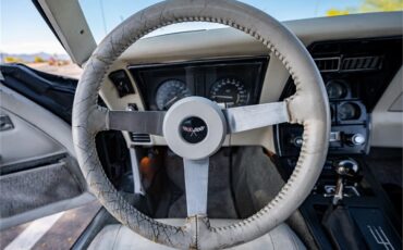 Chevrolet-Corvette-1979-Black-Oyster-64