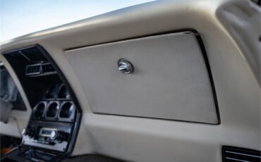 Chevrolet-Corvette-1979-Black-Oyster-71