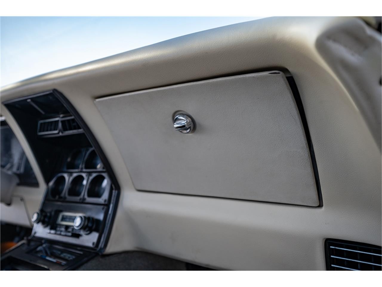 Chevrolet-Corvette-1979-Black-Oyster-71