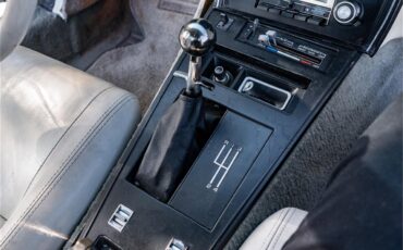 Chevrolet-Corvette-1979-Black-Oyster-78
