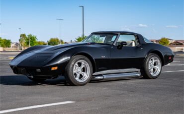 Chevrolet-Corvette-1979-Black-Oyster-91