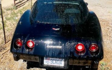 Chevrolet-Corvette-1979-Black-White-4