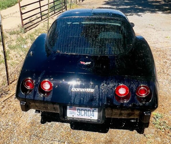 Chevrolet-Corvette-1979-Black-White-4