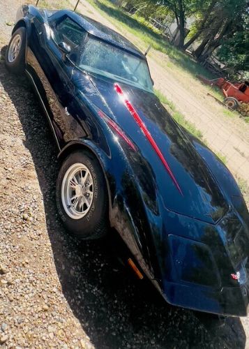 Chevrolet-Corvette-1979-Black-White-5