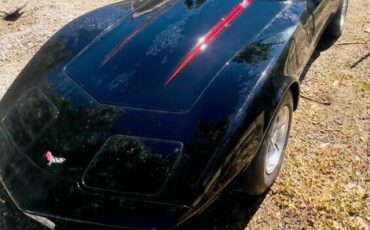Chevrolet-Corvette-1979-Black-White-6