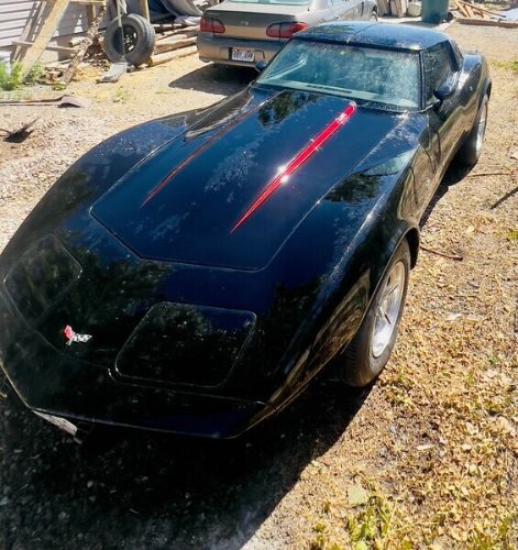 Chevrolet-Corvette-1979-Black-White-6