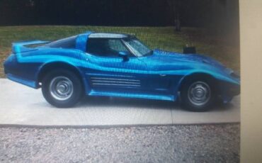 Chevrolet-Corvette-1979-Blue-10