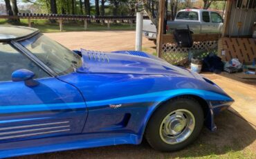 Chevrolet-Corvette-1979-Blue-13